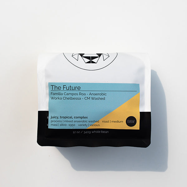 The Future 12 oz - Coffee Beans for Flexible Recipe Preparation