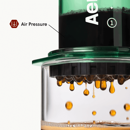 Traveler’s Bundle - Clear - Coffee Maker Set for Fresh Brew Routines