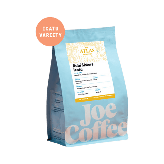 Rubi Sisters Icatu 12 oz - Coffee Beans for Flexible Recipe Preparation